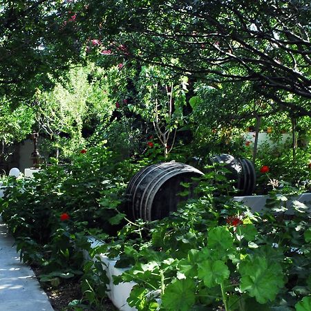 Milos Garden Apartment Adamantas  Ngoại thất bức ảnh